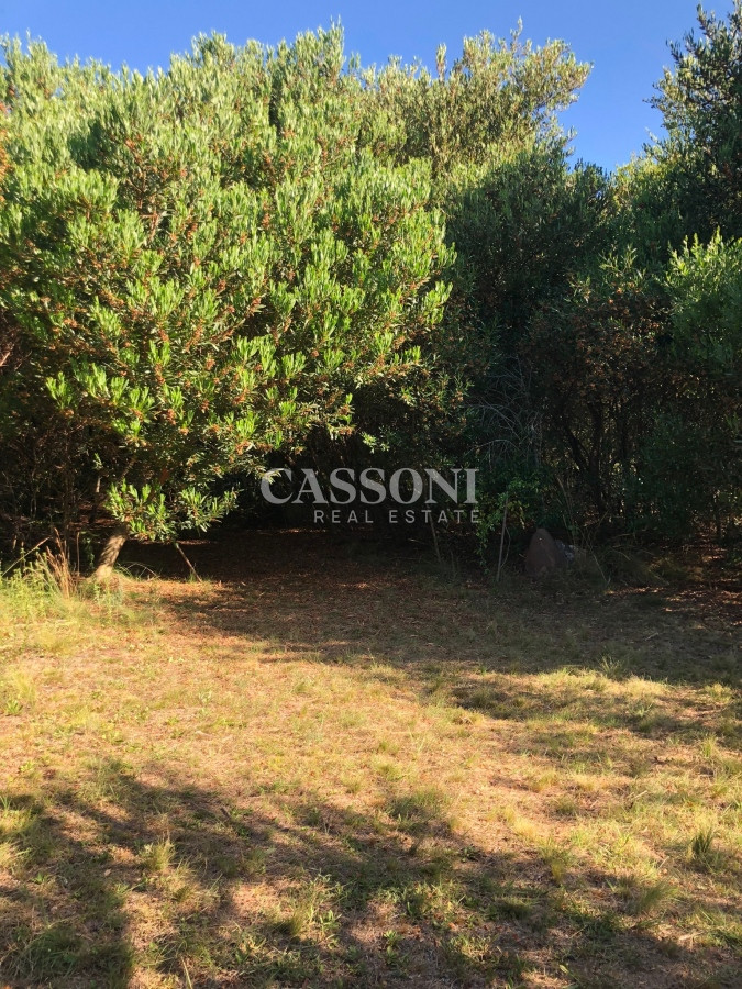 Chacra ID.2774 - VENTA DE CHACRA EN LAS CAÑAS