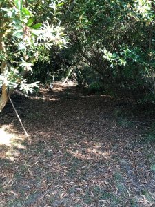 venta de chacra en las caÑas - byh4897h