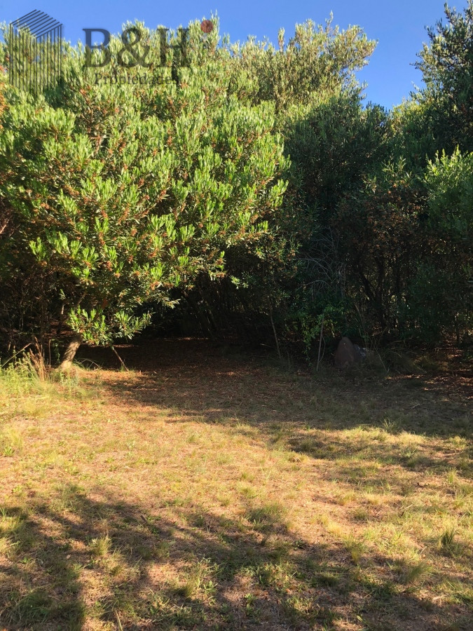 Chacra ID.4897 - VENTA DE CHACRA EN LAS CAÑAS