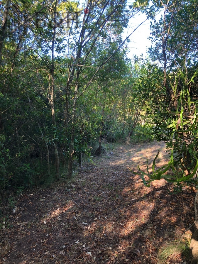 VENTA DE CHACRA EN LAS CAÑAS - GoPunta - Portal Inmobiliario de Punta del Este - Maldonado