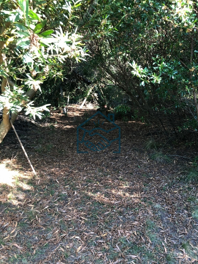Chacra ID.1188/VENTA-DE-CHACRA-EN-LAS-CAÑAS - VENTA DE CHACRA EN LAS CAÑAS