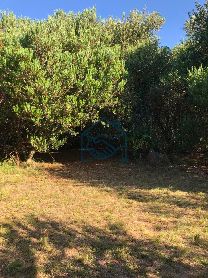Chacra ID.1188/VENTA-DE-CHACRA-EN-LAS-CAÑAS - VENTA DE CHACRA EN LAS CAÑAS