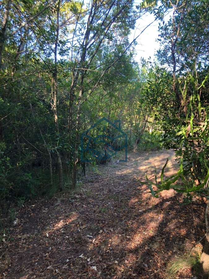 Chacra ID.1188/VENTA-DE-CHACRA-EN-LAS-CAÑAS - VENTA DE CHACRA EN LAS CAÑAS