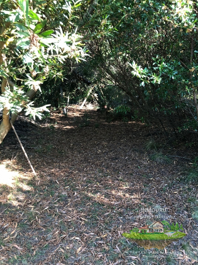 Chacra ID.795 - VENTA DE CHACRA EN LAS CAÑAS