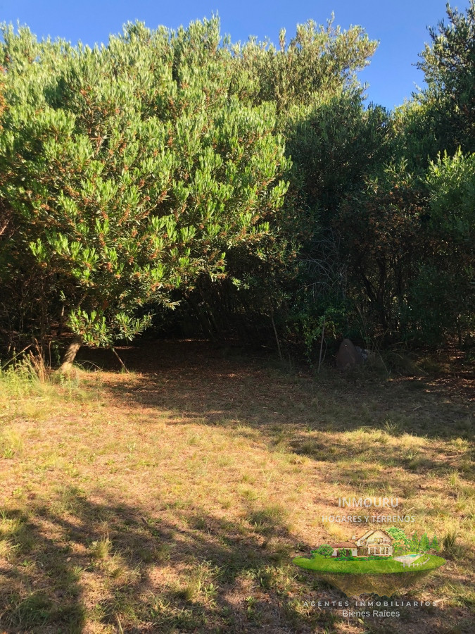 Chacra ID.795 - VENTA DE CHACRA EN LAS CAÑAS