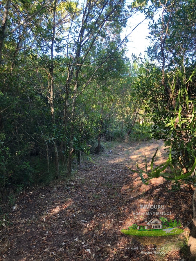 Chacra ID.795 - VENTA DE CHACRA EN LAS CAÑAS