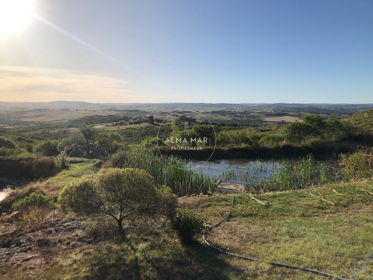 Chacra ID.364 - VENTA DE CHACRA EN LAS CAÑAS