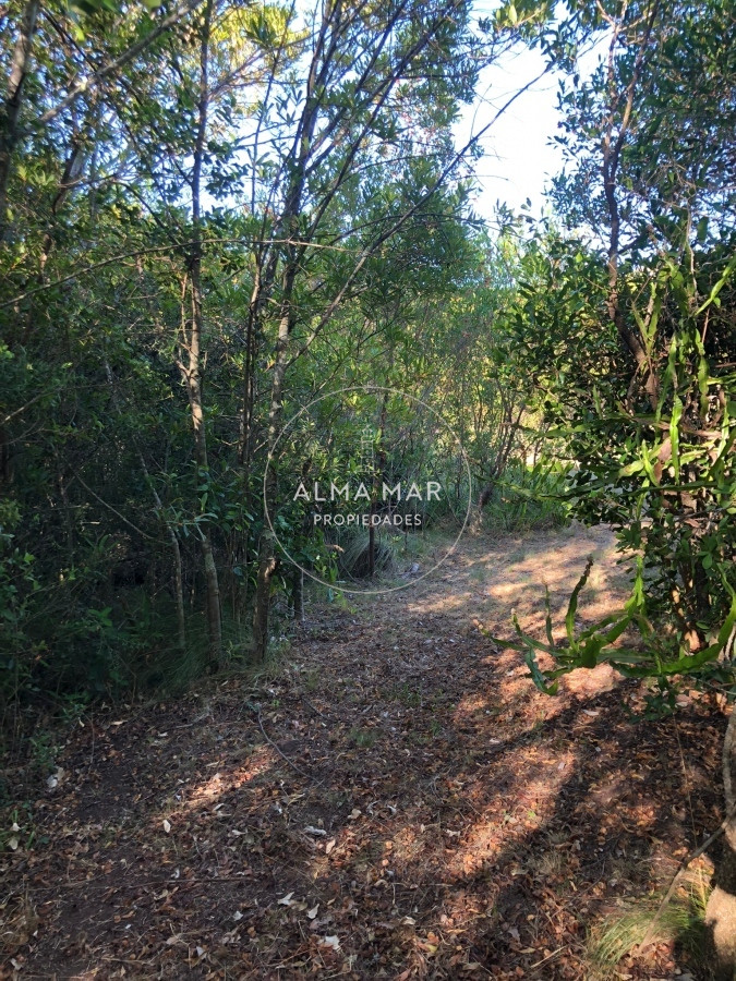 Chacra ID.364 - VENTA DE CHACRA EN LAS CAÑAS