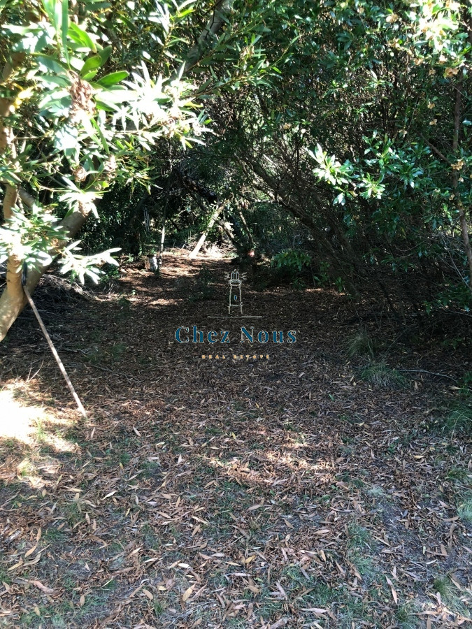 Chacra ID.364 - VENTA DE CHACRA EN LAS CAÑAS