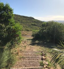 VENTA DE CHACRA EN LAS CAÑAS