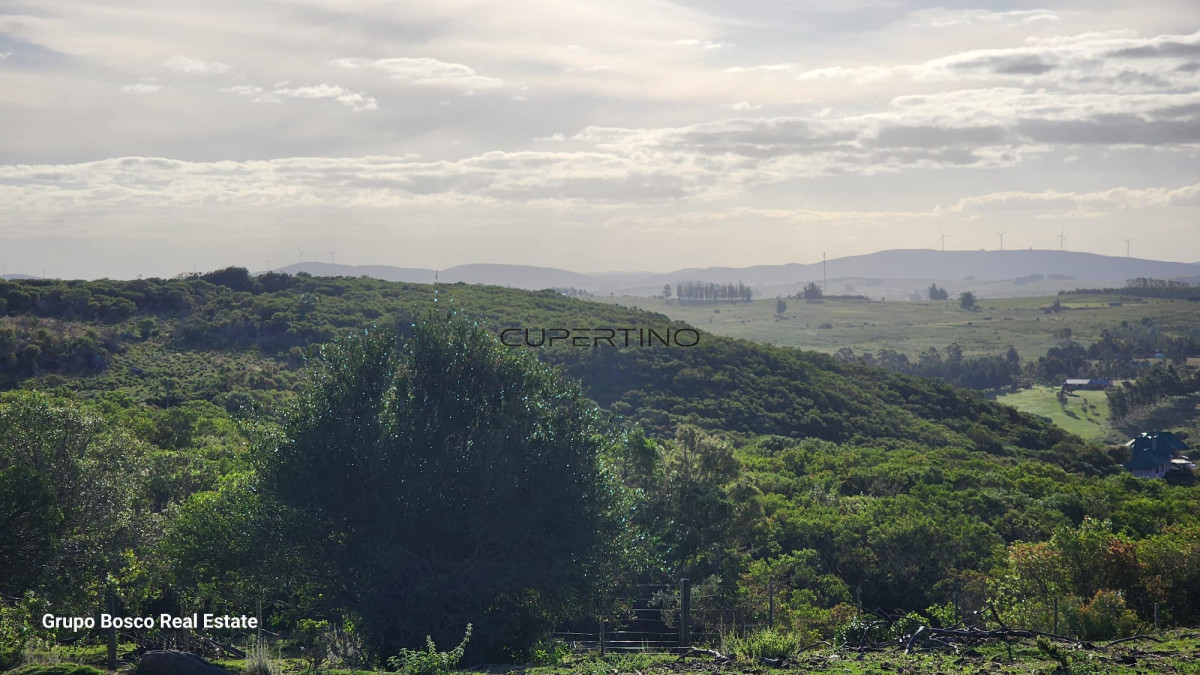 Chacra ID.1172 - 