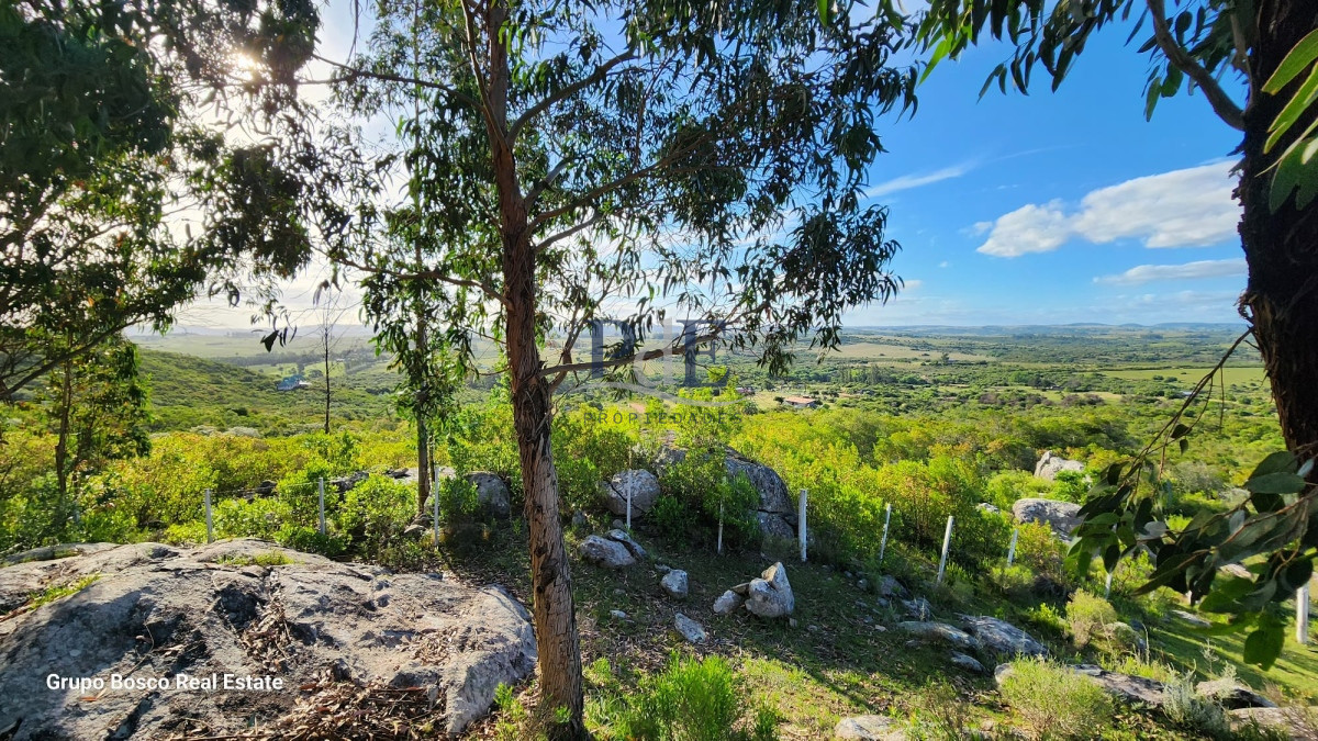 Chacra en Venta. Zona Las Cañas | 10 Hectáreas - Imagen 8