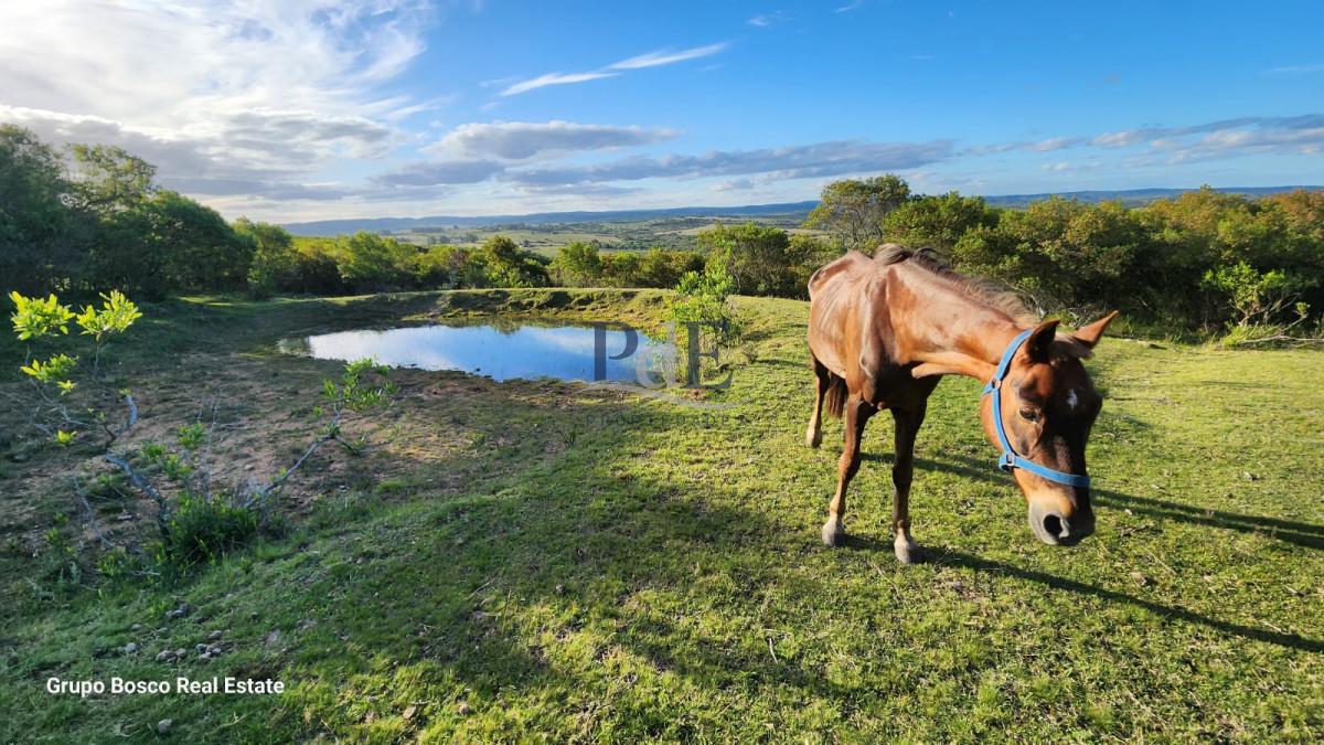 Chacra en Venta. Zona Las Cañas | 10 Hectáreas - Imagen 7