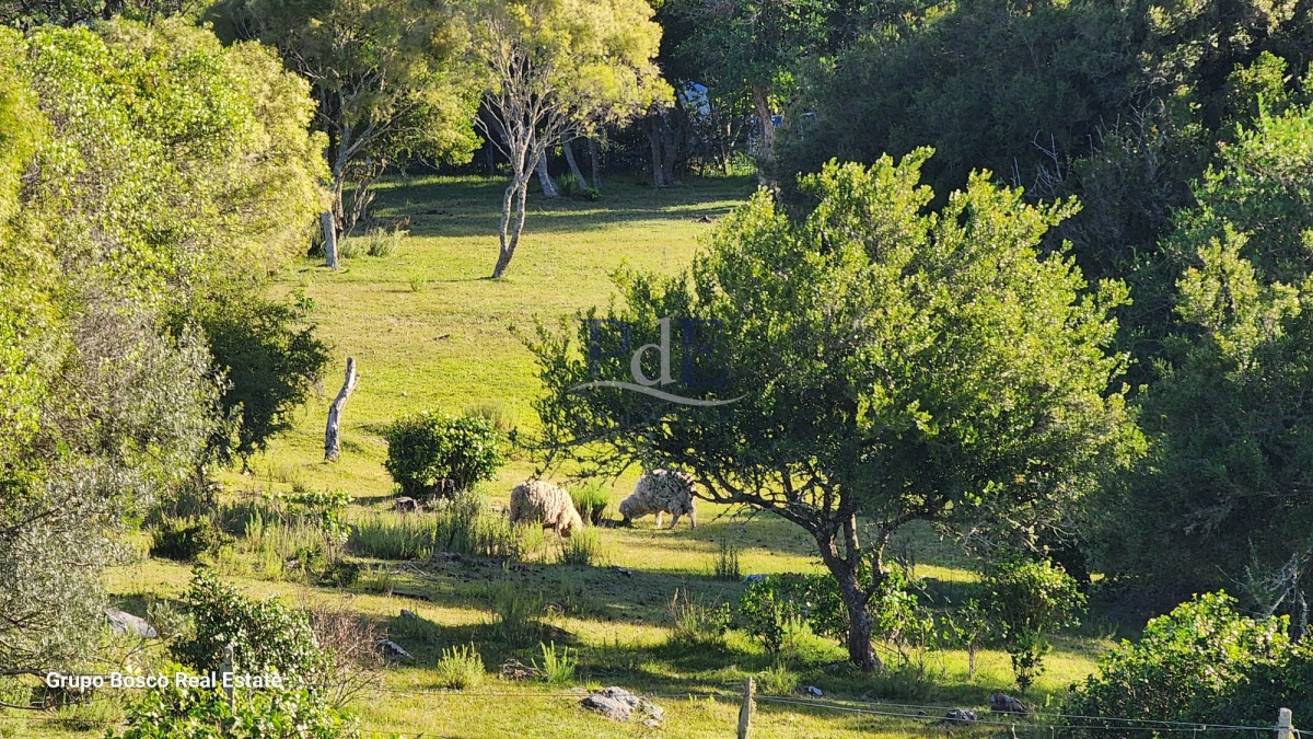 Chacra en Venta. Zona Las Cañas | 10 Hectáreas - Imagen 1