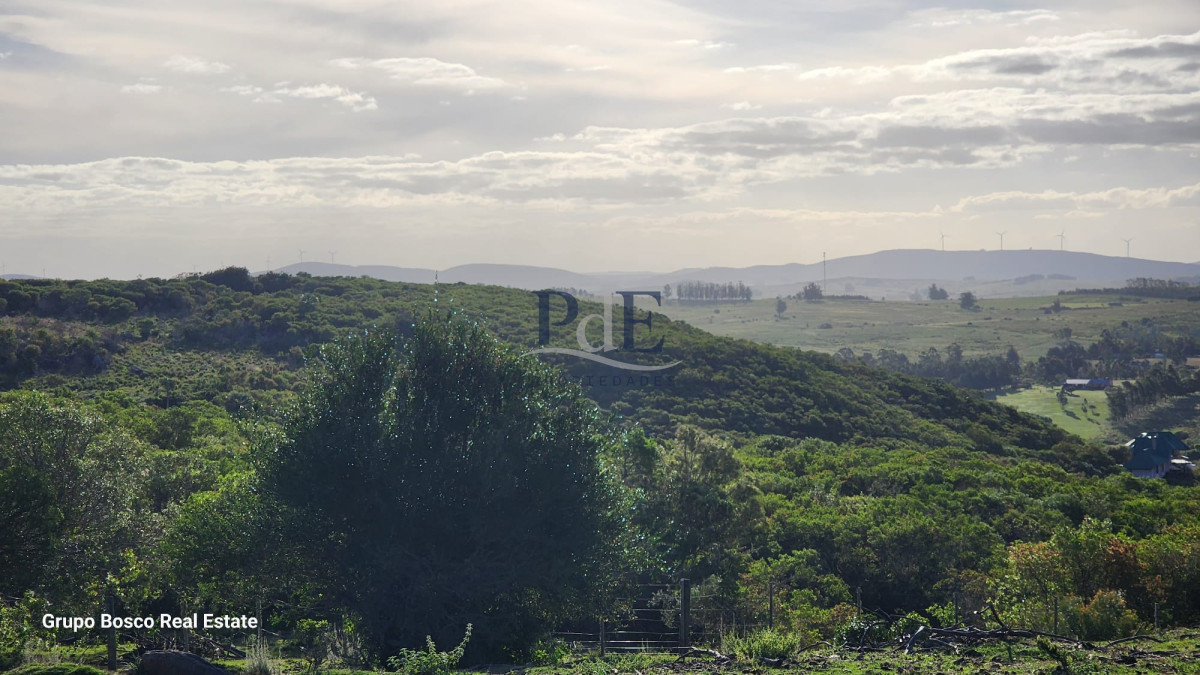 Chacra en Venta. Zona Las Cañas | 10 Hectáreas - Imagen 3