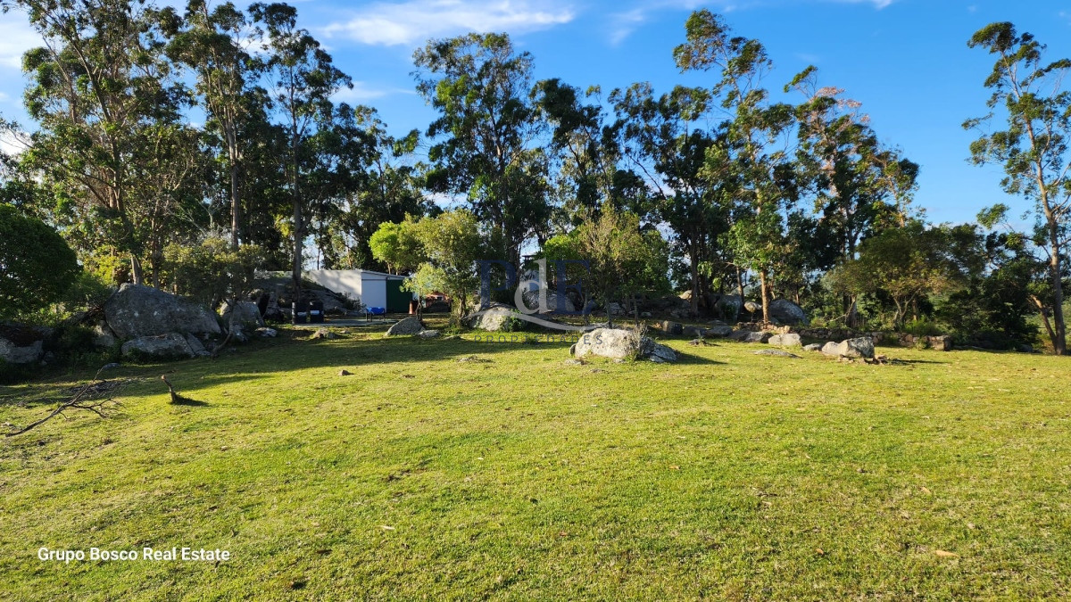 Chacra en Venta. Zona Las Cañas | 10 Hectáreas - Imagen 4