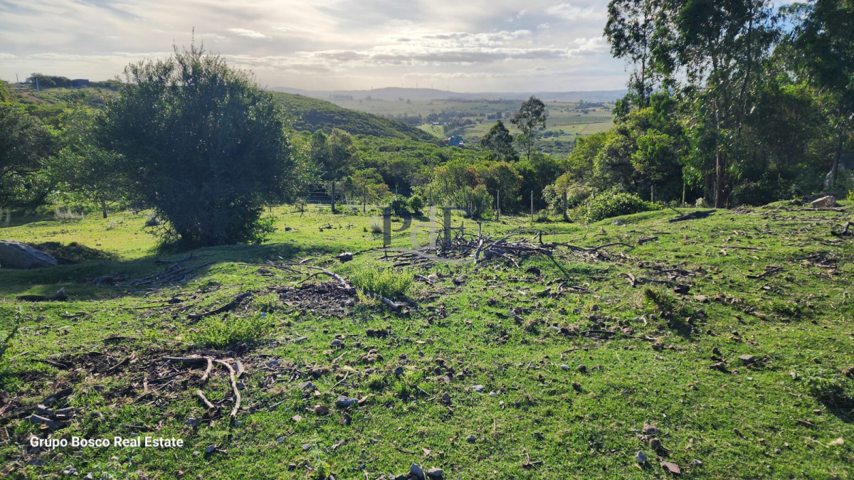 Chacra en Venta. Zona Las Cañas | 10 Hectáreas - Imagen 2