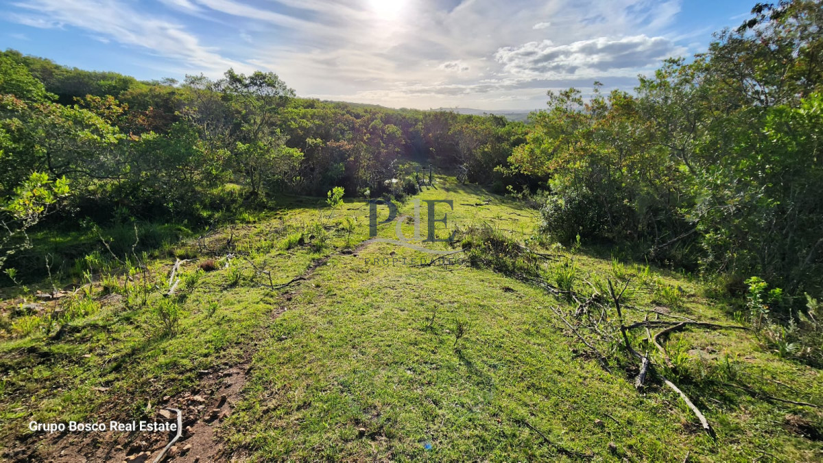 Chacra en Venta. Zona Las Cañas | 10 Hectáreas