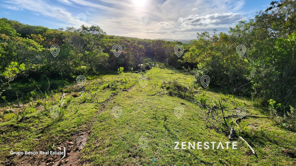 VENDO - ZEN6195H