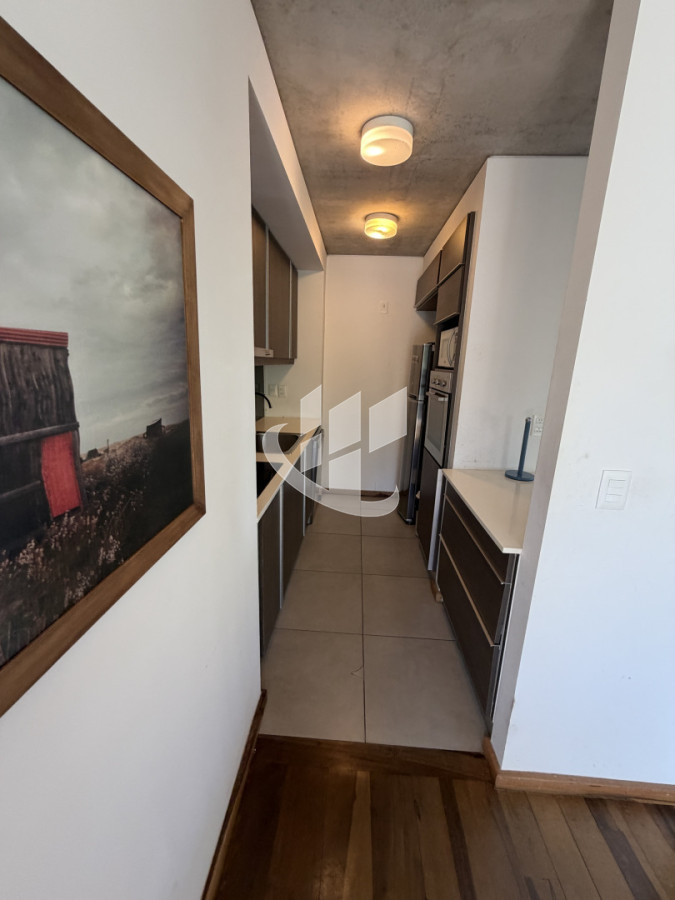 Apartamento ID.2479 - Alquiler invernal  de 2 dormitorios Punta del Este