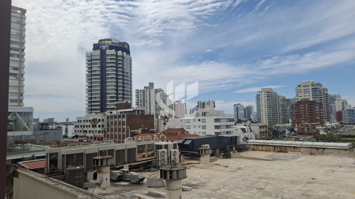 Apartamento ID.2389 - Alquiler de Verano, 1 dormitorio, Peninsula, Punta del Este