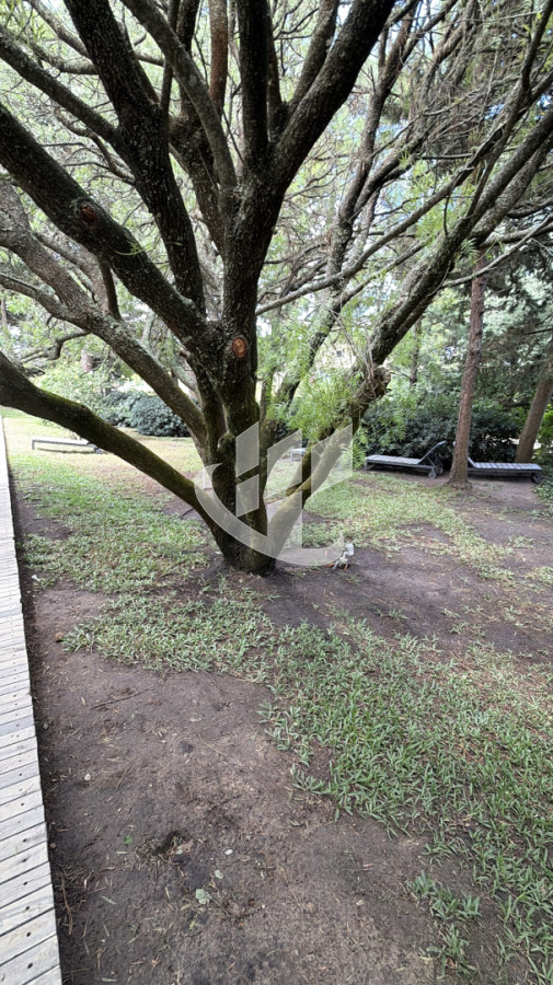 Apartamento ID.2479 - Alquiler invernal  de 2 dormitorios Punta del Este