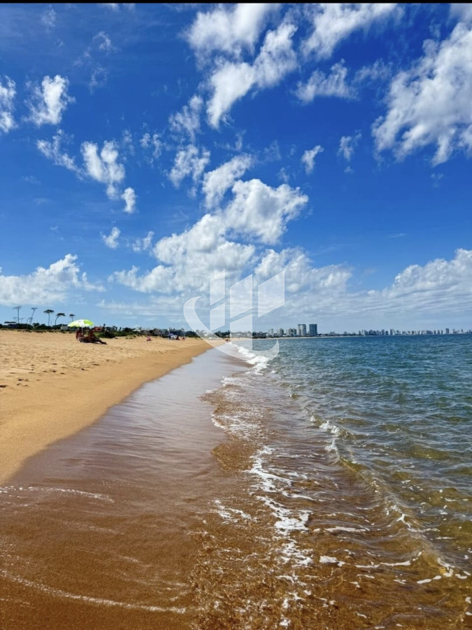 Apartamento ID.2238 - Venta apartamento, 1 dormitorio, 1era linea de mar, Playa Mansa, Punta del Este