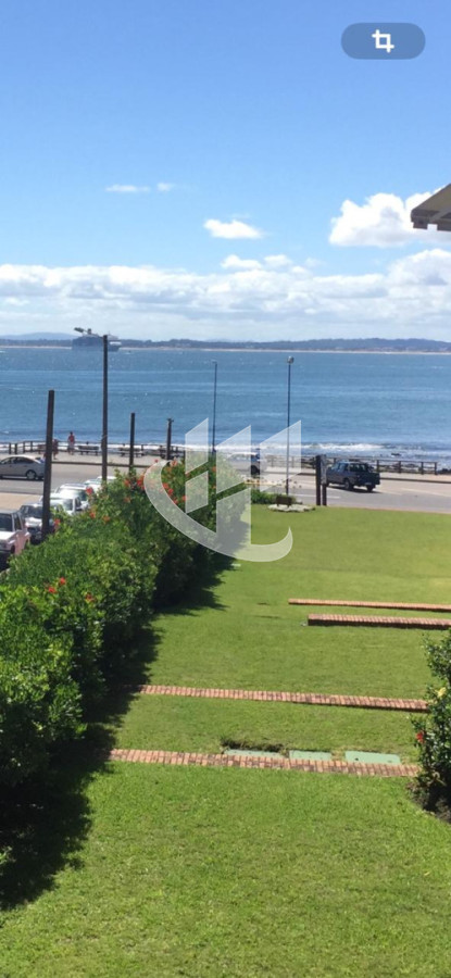 Apartamento ID.2554 - PUNTA DEL ESTE PENINSULA 1 DORMITORIO ALQUILER DE INVIERNO