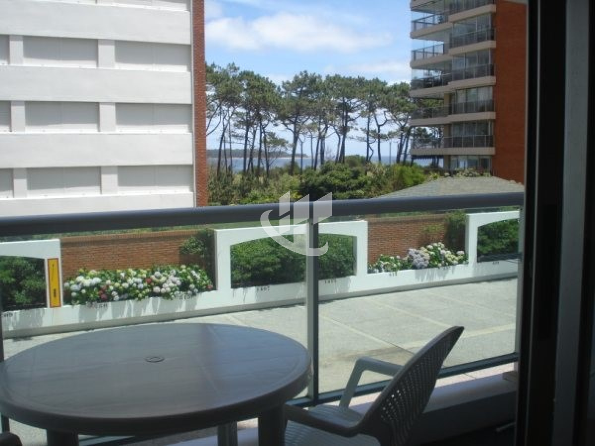 Apartamento ID.254 - Venta apartamento 1 dormitorio, vista a la mansa, Punta del Este
