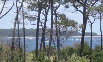 Venta apartamento 1 dormitorio, vista a la mansa, Punta del Este