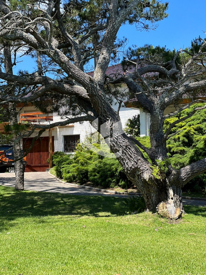 Casa ID.945 - CASA EN ALQUILER ANUAL, 3 DORMITORIOS, PUNTA DEL ESTE, PINARES