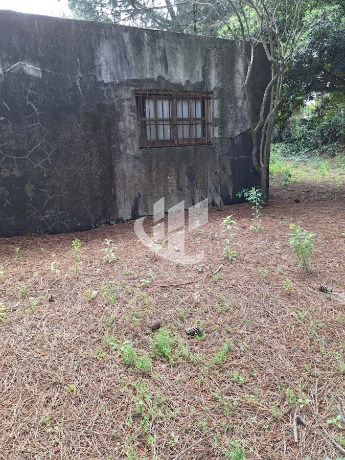 Casa ID.915 - CASA EN VENTA CON TERRENO Y MEJORAS .EXCELENTE PARA COMERCIO.