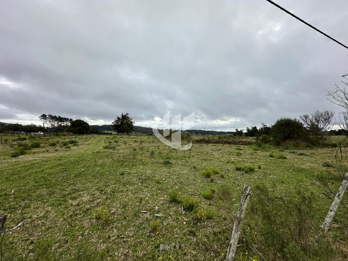 Chacra ID.1136 - Venta, chacra 5 hectareas, Punta Ballena