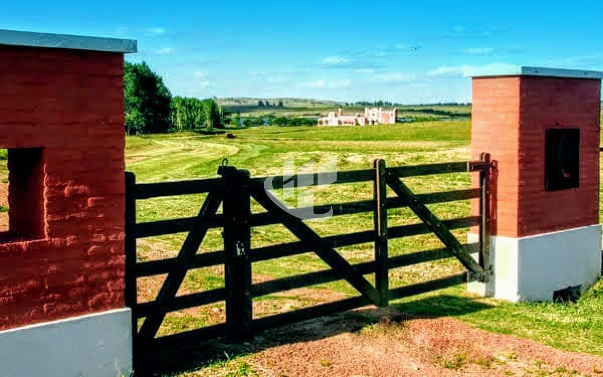 Chacra ID.2263 - PUNTA DEL ESTE LAGUNA DE LOS CISNES CHACRA DE 7 HAS 4 SUITES Y DEPENDENCIA DE SERVICIO PISCINA