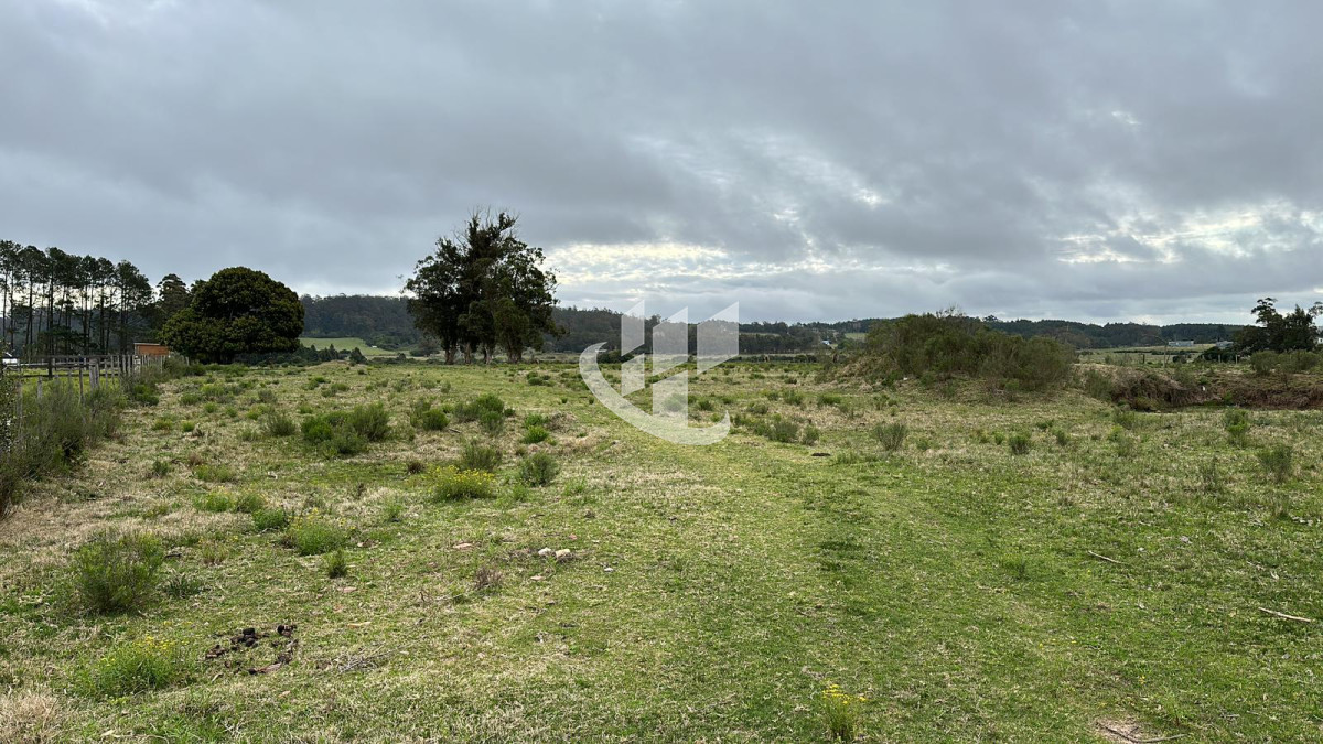 Chacra ID.1136 - Venta, chacra 5 hectareas, Punta Ballena