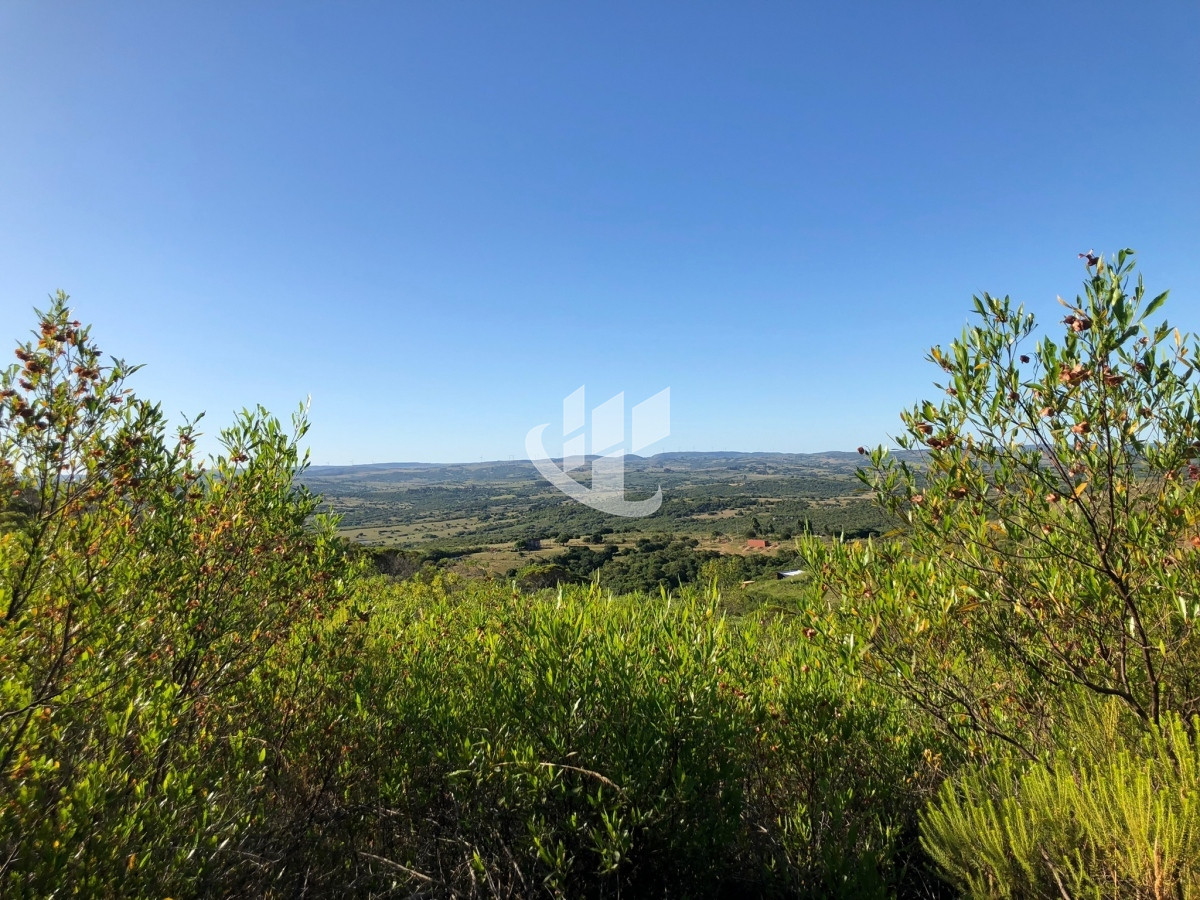 Chacra ID.1275 - VENTA DE CHACRA EN LAS CAÑAS