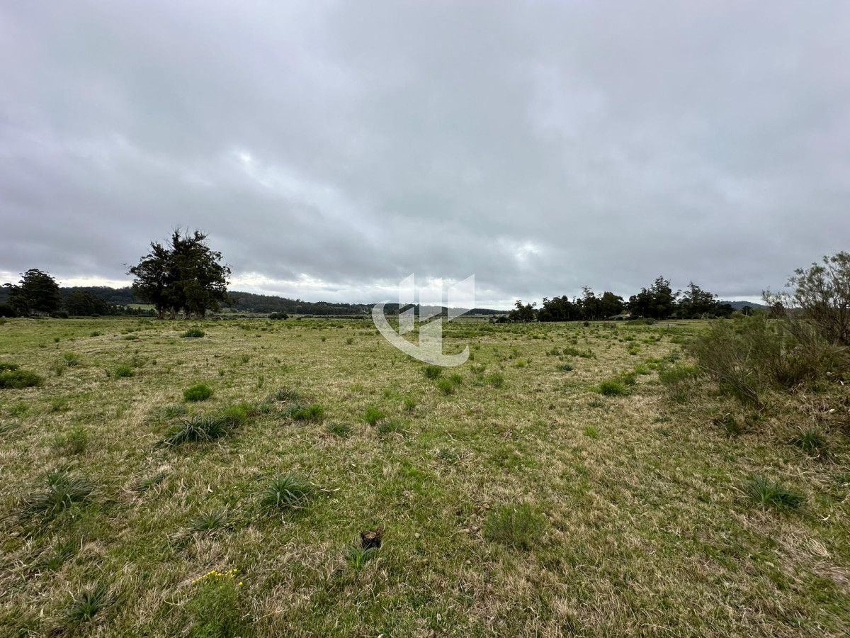 Chacra ID.1136 - Venta, chacra 5 hectareas, Punta Ballena