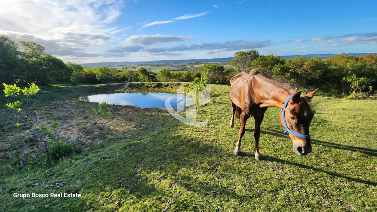 Chacra ID.1207 - VENDO