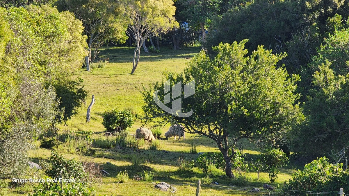 Chacra ID.1207 - VENDO