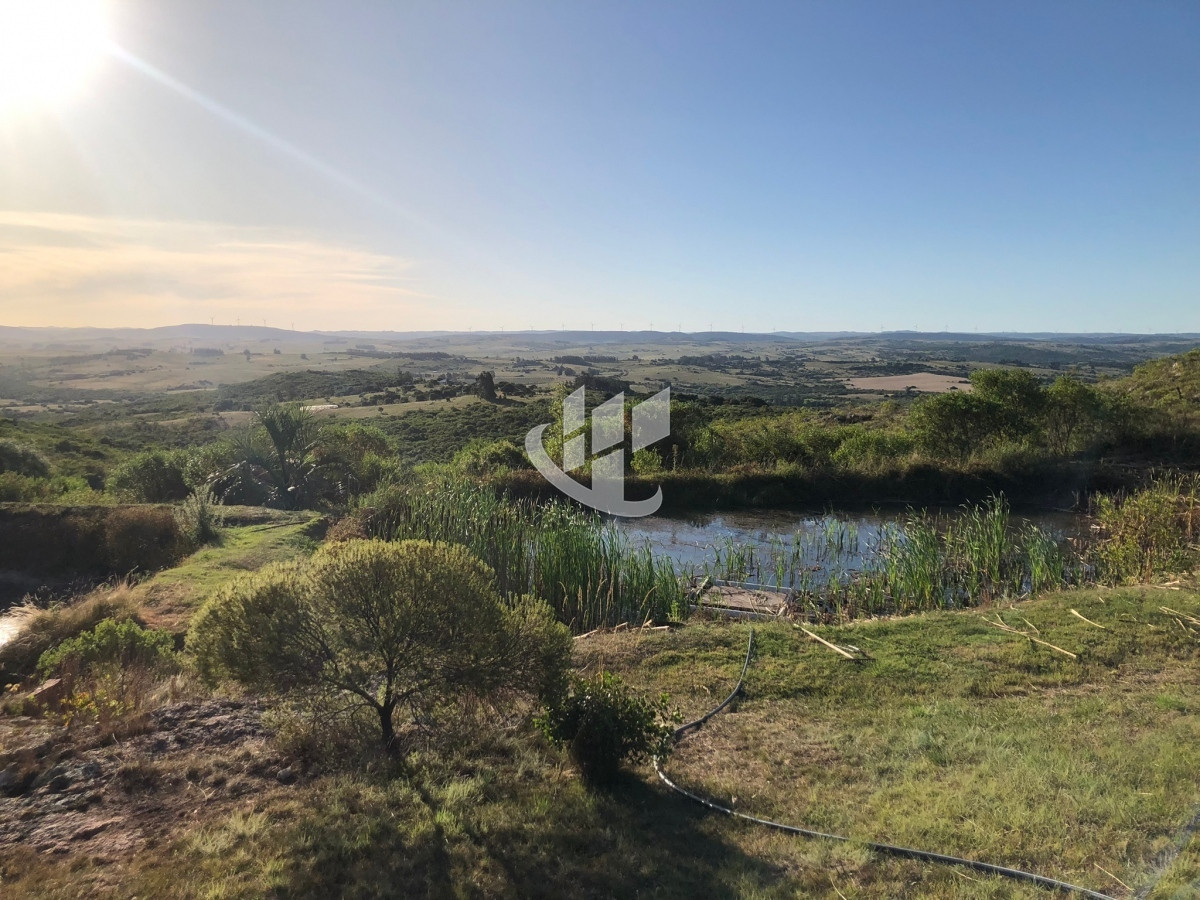 Chacra ID.1275 - VENTA DE CHACRA EN LAS CAÑAS