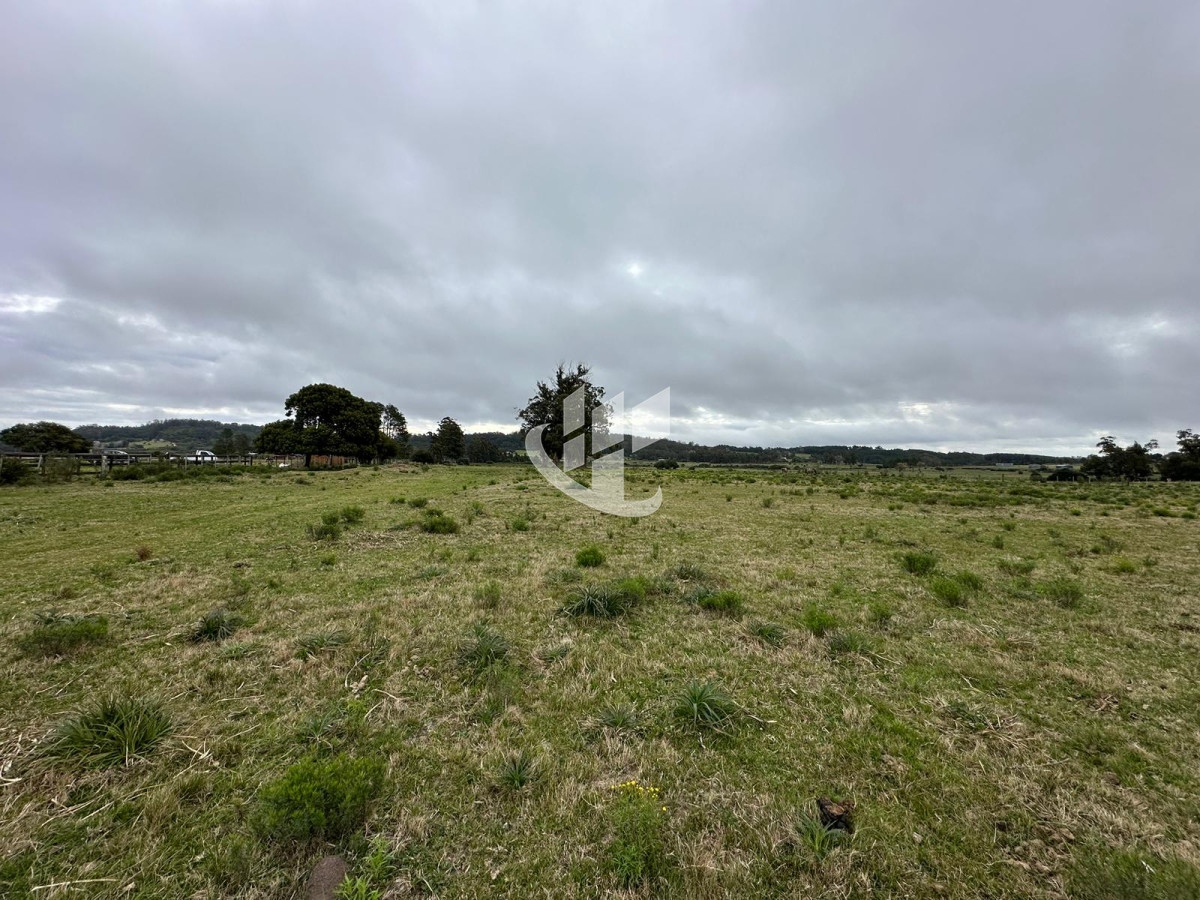 Chacra ID.1136 - Venta, chacra 5 hectareas, Punta Ballena