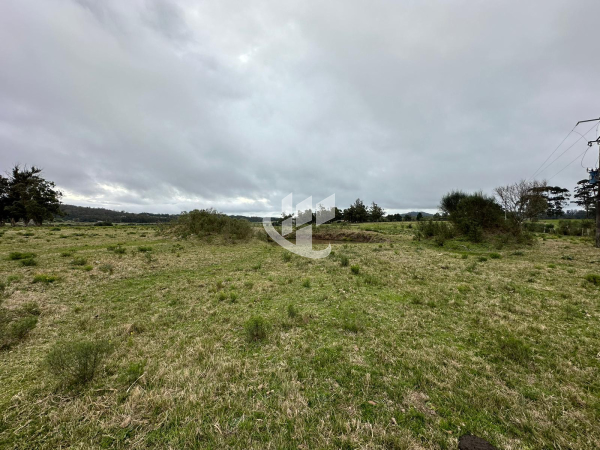 Chacra ID.1136 - Venta, chacra 5 hectareas, Punta Ballena