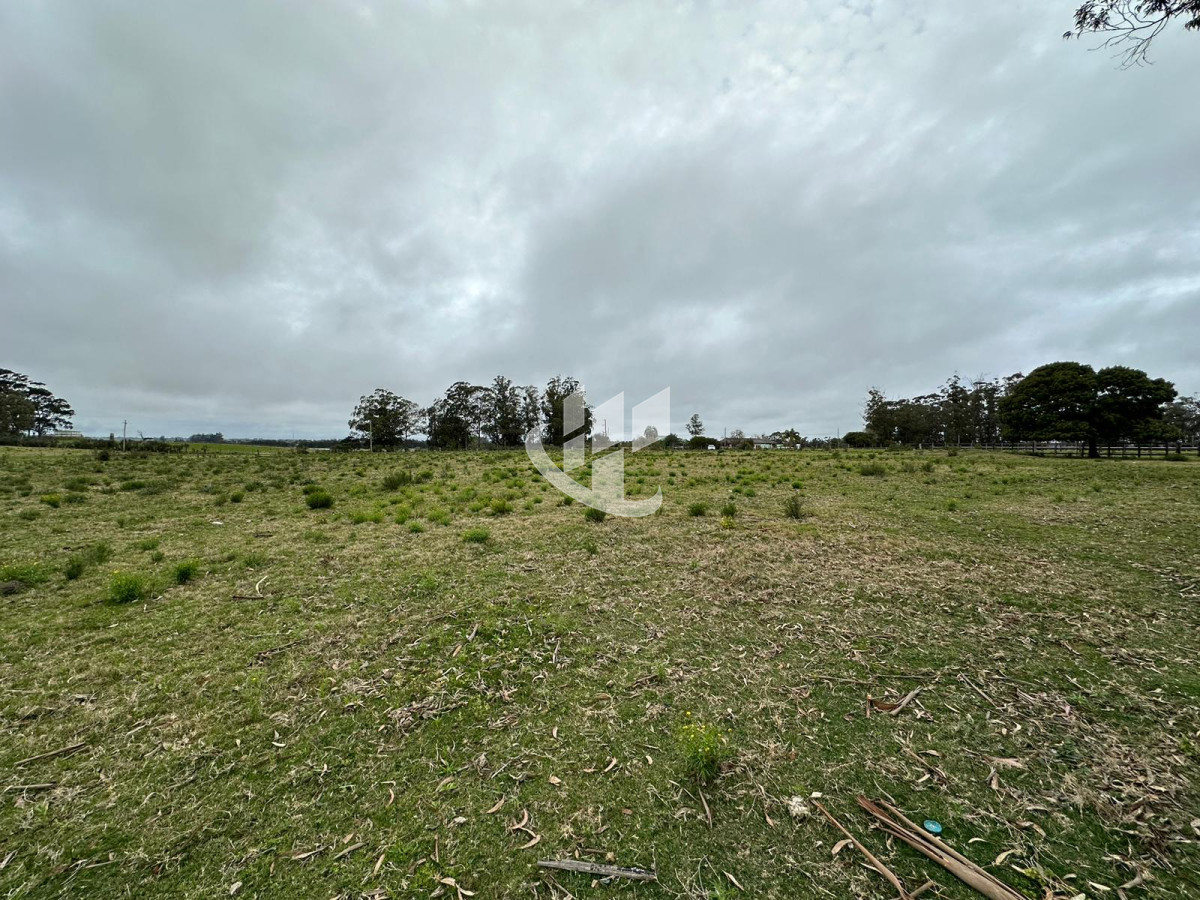Chacra ID.1136 - Venta, chacra 5 hectareas, Punta Ballena