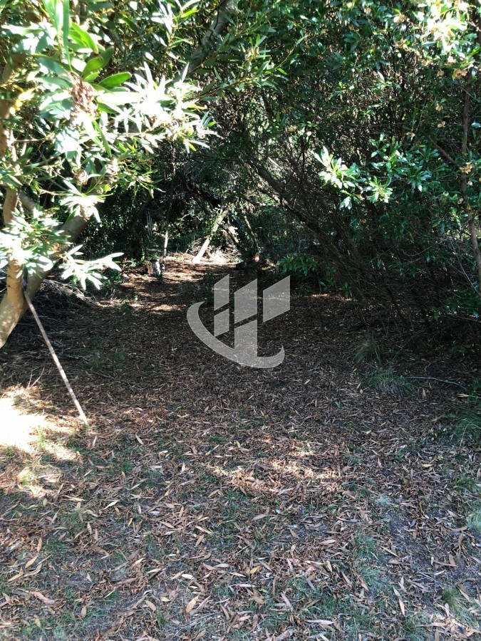 Chacra ID.1275 - VENTA DE CHACRA EN LAS CAÑAS