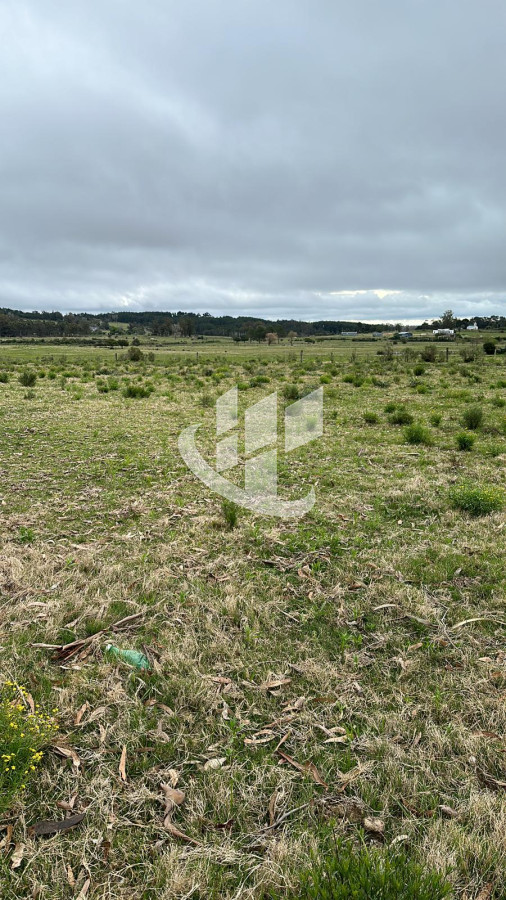 Chacra ID.1136 - Venta, chacra 5 hectareas, Punta Ballena