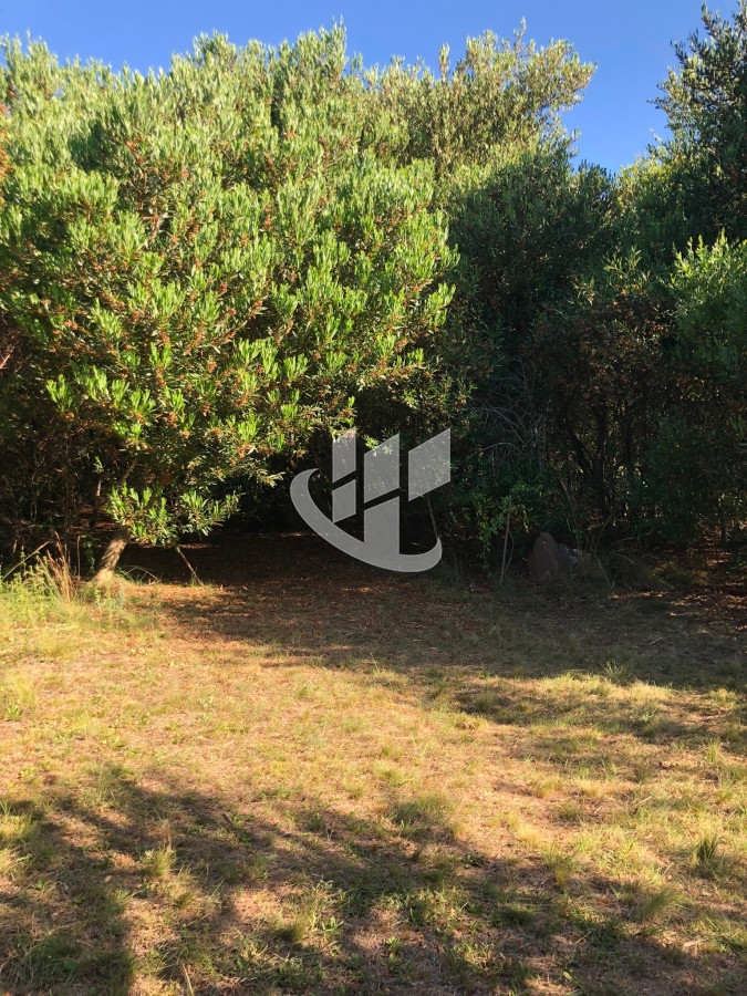 Chacra ID.1275 - VENTA DE CHACRA EN LAS CAÑAS