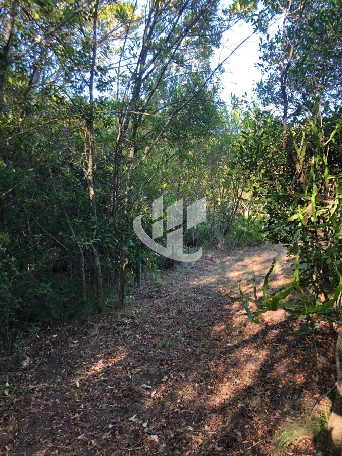Chacra ID.1275 - VENTA DE CHACRA EN LAS CAÑAS