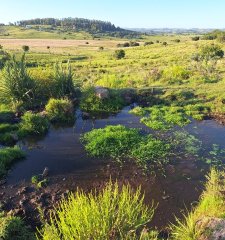 Venta, Chacra en Pueblo Edén, Ruta 12,  Punta del Este