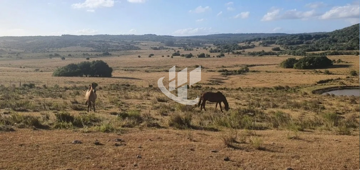 Campo Ref.1431 - GARZON CAMPO DE 38 HECTAREAS CON CASA 