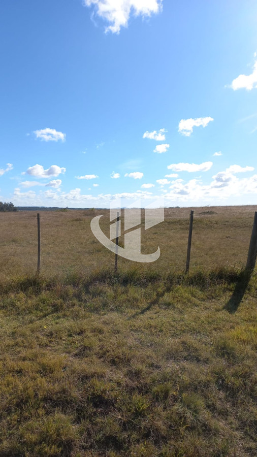 Campo Ref.1183 - VENDO